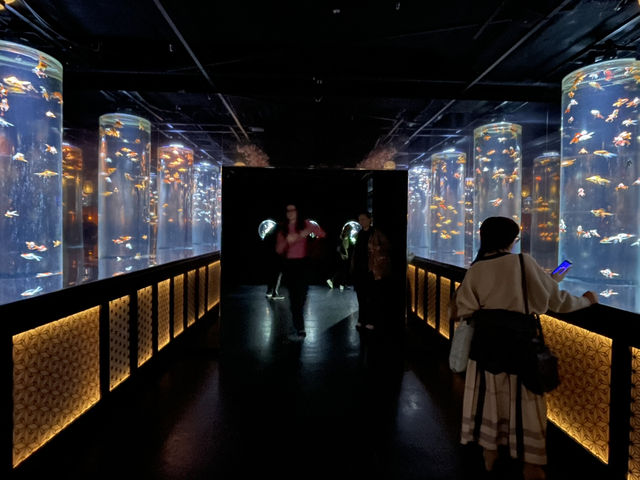 Art Aquarium Ginza: Living art exhibition 
