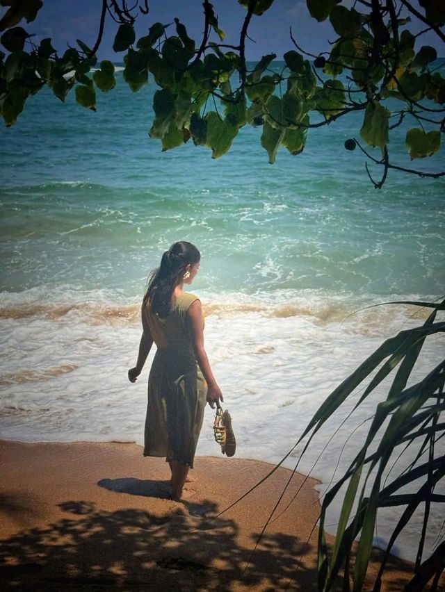 Title: Sri Lanka – The Island Where Nature and Soul Speak Loudest