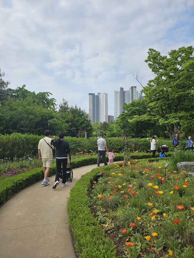 🌸 “봄날, 꽃과 함께 걷는 길 – 호수공원 꽃박람회 야외 데이트”