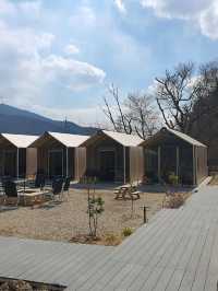 [🇰🇷釜山] 「サムガムバーベキュー」～釜山・梁山の隠れた名店 