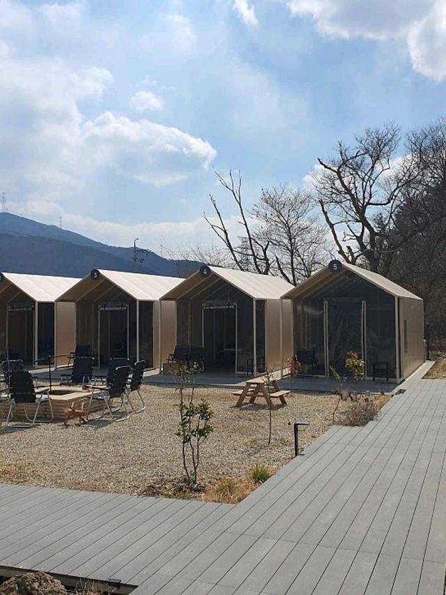 [🇰🇷釜山] 「サムガムバーベキュー」～釜山・梁山の隠れた名店 