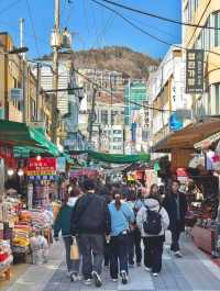 Exploring the Enchanting Charm of Busan, South Korea