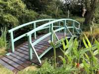 Bennetts Water Gardens – A Tranquil Slice of Paradise in Dorset, England