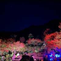 耶馬溪ダム記念公園 溪石園