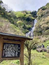 A Local Stroll Through Shuzenji – Temples, Blossoms & Comfort Food