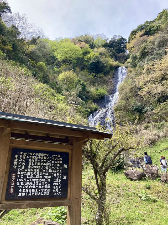 A Local Stroll Through Shuzenji – Temples, Blossoms & Comfort Food