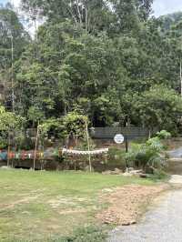 วังปริง แคมป์ ทุ่งสง 🏕️ - ที่พักติดลำธาร