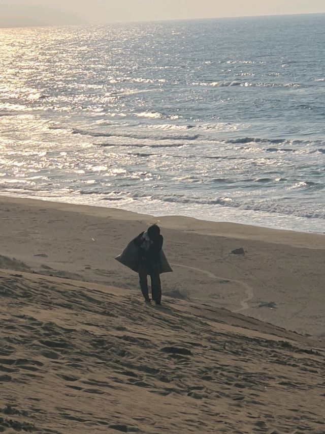 돗토리 사구에서 모래 패러글라이딩🪂