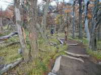 해외여행 아르헨티나의 아름다운 Sendero al Fitz Roy