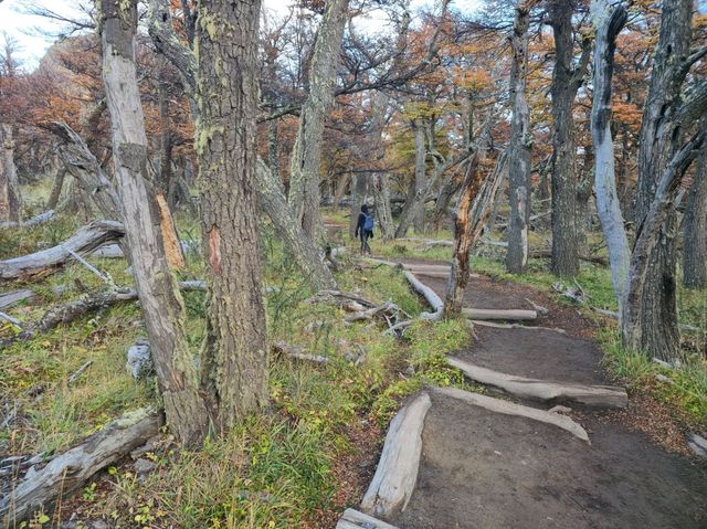 해외여행 아르헨티나의 아름다운 Sendero al Fitz Roy