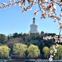 Serene Strolls & Hidden Gems: A Day at Beihai Park