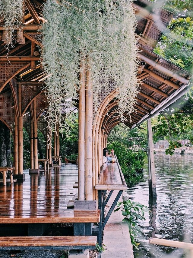 Natura Cafe | Rama2