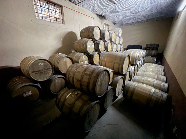 Inside the World of Cascahuín