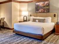 Nature Escape at Tenaya Lodge