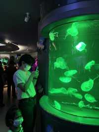 [ชลบุรี] 🪼 Bangsaen Aquarium (อควาเรียมบางแสน)