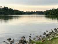 Lower Peirce Reservoir – Brisk Walks & Monkey Business