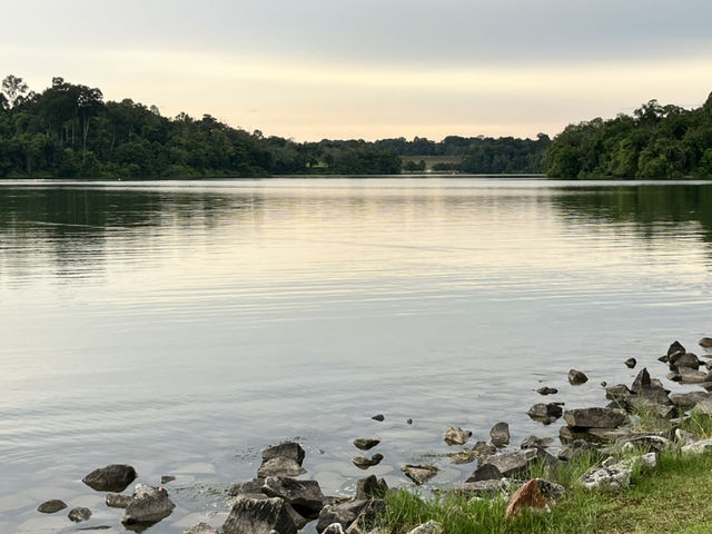 Lower Peirce Reservoir – Brisk Walks & Monkey Business