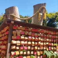 Spiritual Serenity at Enoshima Shrine
