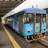Tosashimizu: Where the Ocean Meets Untamed Beauty