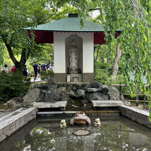 【京都】嵐山🎋世界遺産 天龍寺🐉