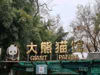  My Beijing Zoo Panda Experience 🐼
