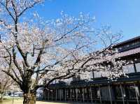 The Matsugaoka Craft Park