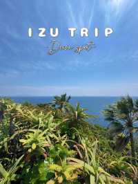【伊豆】まるで南国🌴絶景スポットでチルタイム