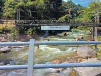 Perak, Gopeng | New Hot Spot: Kyoho Grape Vineyard 