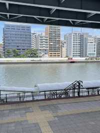 【東京】両国でお洒落ホテルステイ＋浅草観光しよう🏨🏮👘