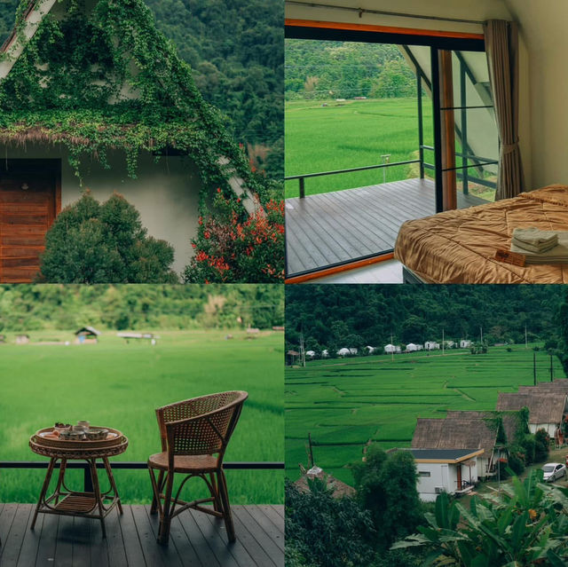 รีสอร์ทท่ามกลางทุ่งนาสีเขียว บรรยากาศดีสุดๆ 🍃🌾