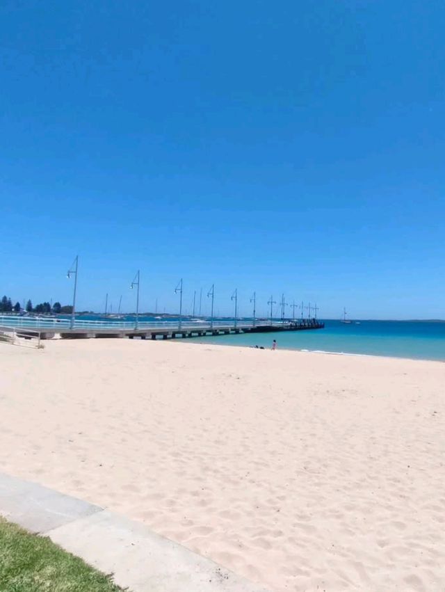 🌊☀️ Sun, Sand & Serenity: Cottesloe Beach Bliss in Perth! 🏖️🐚