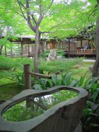 【行く前にこれ見て】禅の境地へ誘う翠の庭園！🌿🐉※周辺観光情報付 