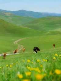 Yili: The Green Jewel of Xinjiang
