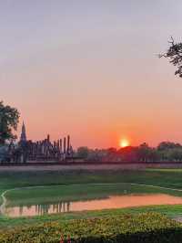あなたの心を癒す、タイの旅へ——文化も自然もここにある🇹🇭🌺🌊