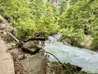 Into the Wild: Trekking China’s Hidden Shangri-La at Ninong Canyon