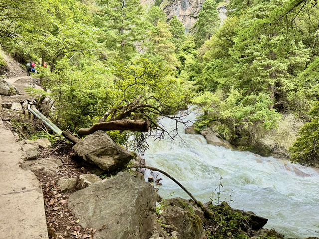 Into the Wild: Trekking China’s Hidden Shangri-La at Ninong Canyon