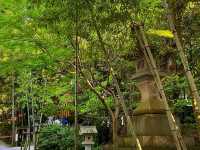 Kinomiya Shrine – A Sacred Escape in Atami