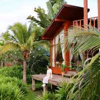ที่พักวิวหลักล้านกลางทุ่งนาใน จังหวัดน่าน