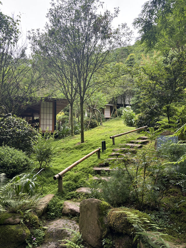 Where to Stay for Peace and Quiet Near Qingcheng Mountain