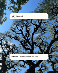 [Japan 🇯🇵] Ritsurin Garden: A Pine-Perfect Japanese Escape