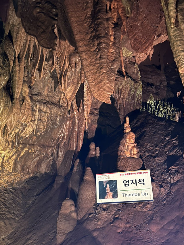 천곡 황금박쥐 동굴 텀험