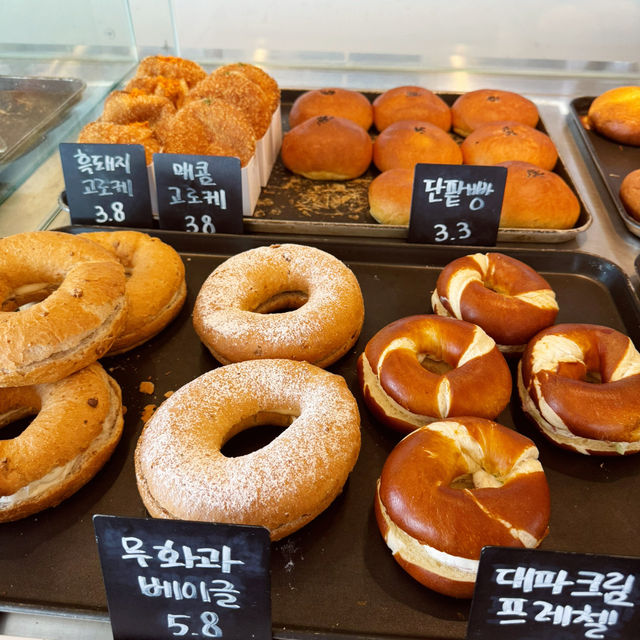 제주에서 베이커리 카페와 영화관, 테니스장, 강아지운동장 등이 모두 즐길 수 있는 곳!