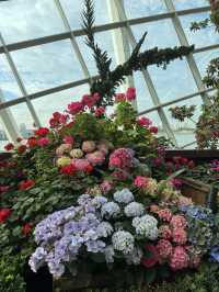 Flower Dome💐🌸🌺🌻