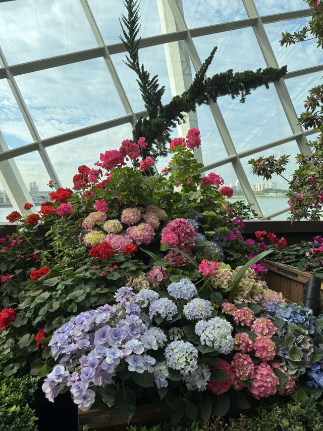 Flower Dome💐🌸🌺🌻