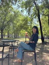 คาเฟ่สวยๆ ในอุทยานประวัติศาสตร์ศรีเทพ