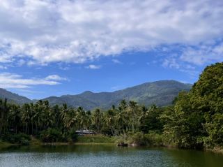 ☁️⛰️No Crowds, Just Clouds: A Quiet Getaway to Jianfengling