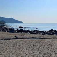 🌊 Fukuoka Itoshima — A Hidden Gem Perfect for Families! 👨‍👩‍👧‍👦