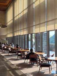 햇살 아래 책 한 컷의 여유로운 시간🌞📚