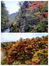 仙台から一泊二日で温泉と🍁もみじ狩り