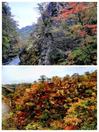 센다이에서 하룻밤 이틀 만에 온천과 🍁 모미 사냥
